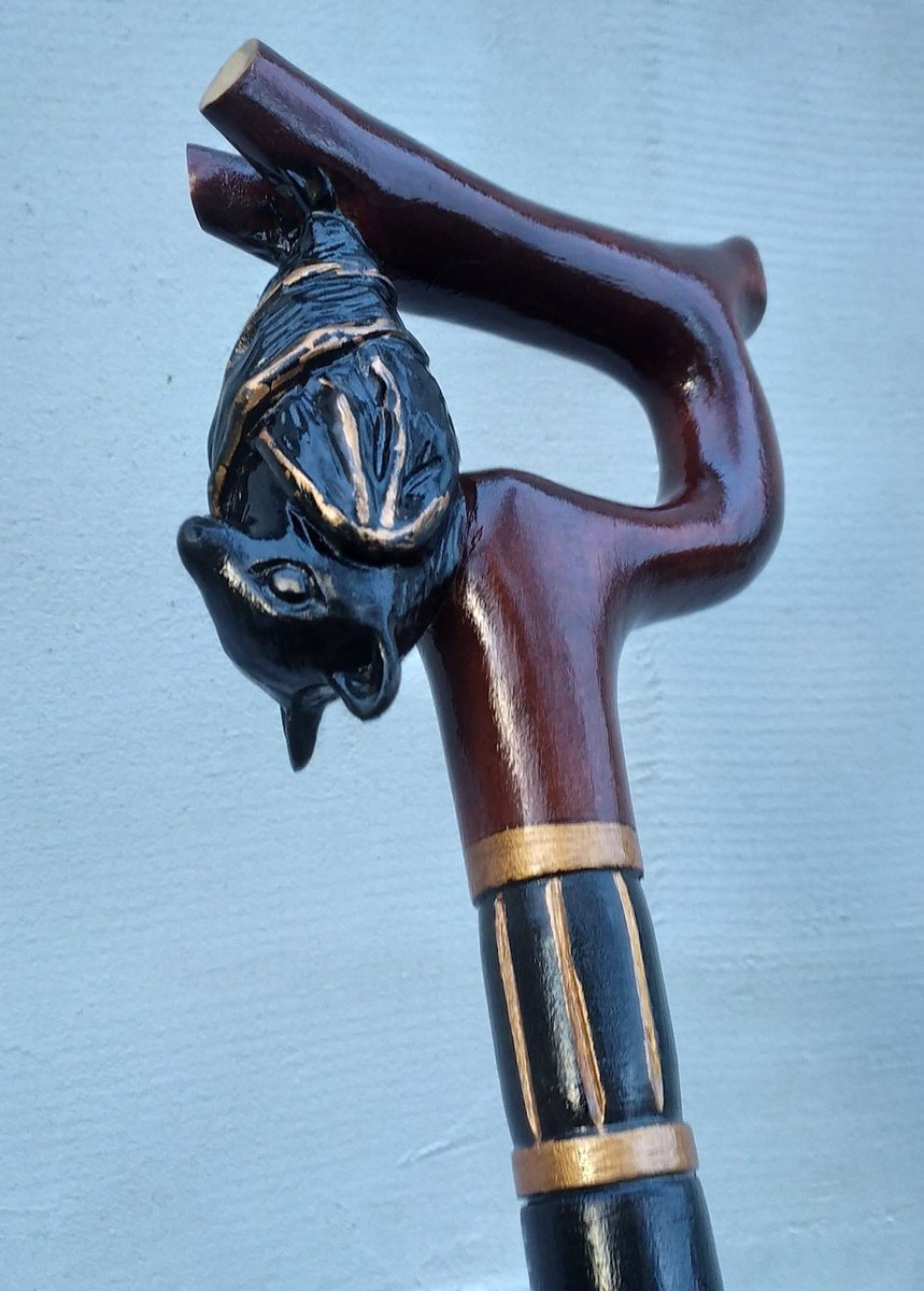 EthanMAldridge's tweet photo. Look, you all know I'm not above a bit of affectation, but do you think I could pull off a cane? Like for fashion. This cane, specifically. https://t.co/YBKDy2fOWe