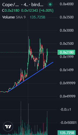 Only up for over a month now 📈 Feeling bullish yet? Are your bags ready for what comes next? 🤔

#Cope $Cope @Solana