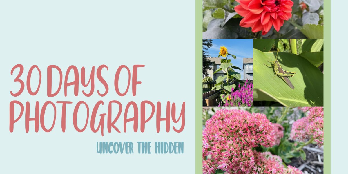 A4: Speaking of Camera...30 Days of Photography -- can be completely adapted to taking pictures in the natural world! 

Pages or PDF: drive.google.com/drive/u/2/fold…

#eduleaderchat