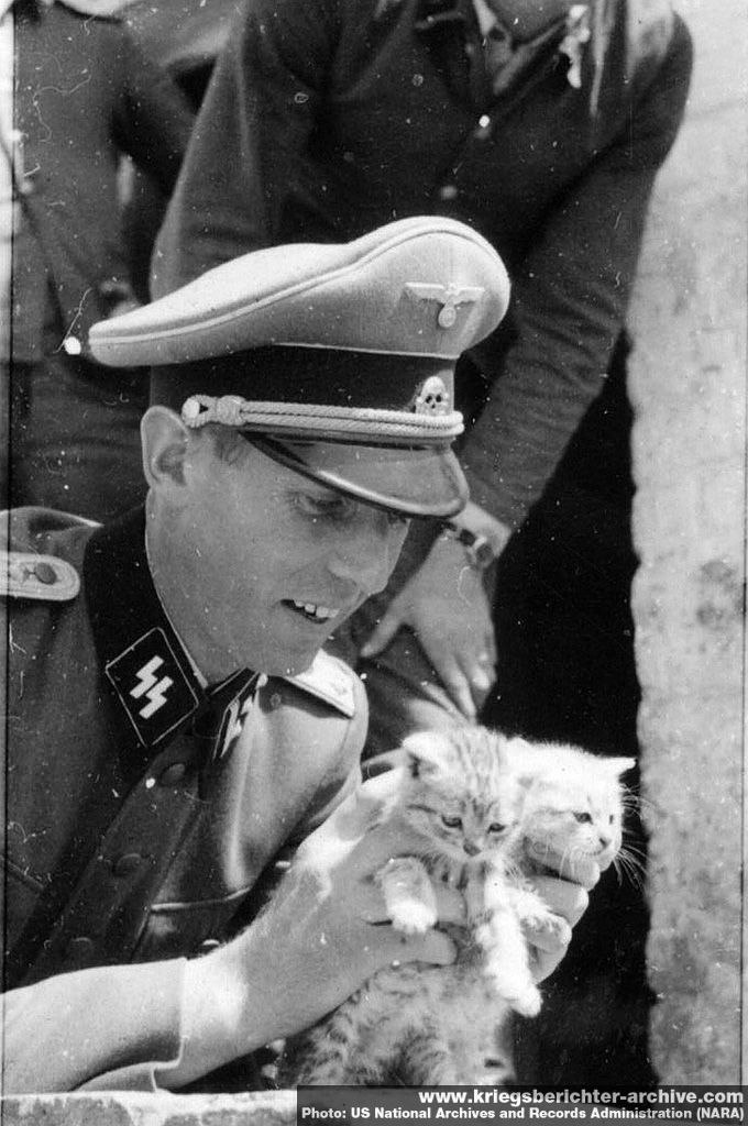 stop_antiwhite's tweet photo. Kitten Waffen... the thread
#KittenWaffen #TheyLiedAboutGermany #JusticeForGermany #GazaHolocaust https://t.co/EqFsF5H4pm