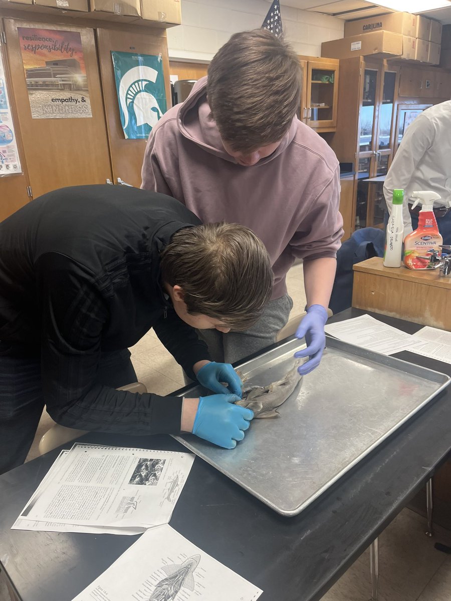 kerry_brennan4's tweet photo. Lots of awesome things happening at Troy High…

Shark dissection in Mrs. Zedan’s Anatomy &amp; Physiology class AND soil testing with Mr. Zynda’s AP Environmental Science students!

#WeAreTC 🦈🌎 #TroyColts https://t.co/d17HJuz96G