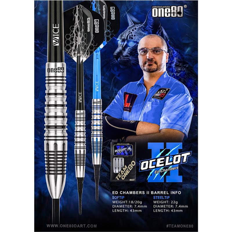 ダーツハイブ / DARTS HIVE 【公式】🎯 tweet media