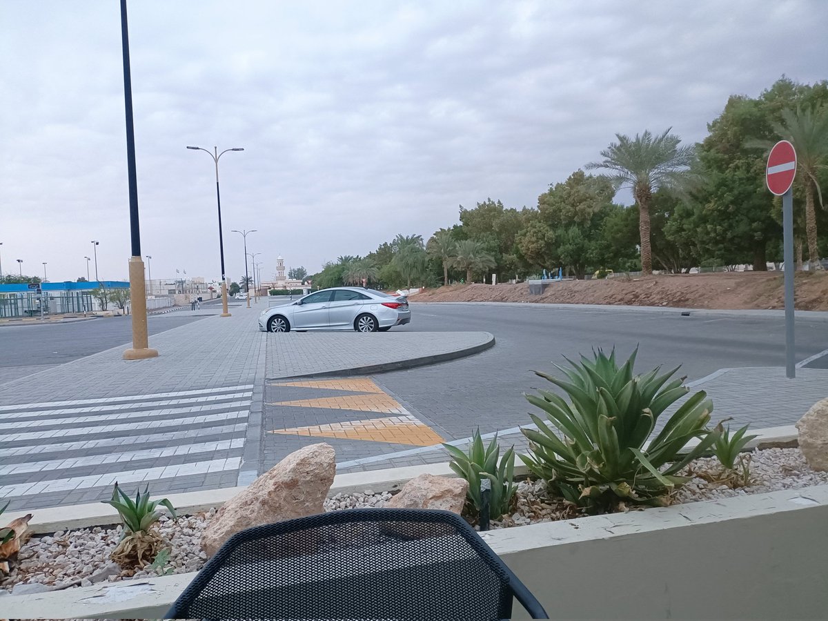 صباح هادىء وبعض أصوات السيارات العابرة للطريق ... هروب من صخب العالم ... ومساحة من السكينة تكفي للتأمل من أجل إعادة ترتيب الأوراق والأفكار والرغبات المبعثرة بين غرف الذات.

#من_دفتر_التأمل 
#شريف_مصطفى_م 
#حديث_للذات 
#من_تصويري
#حديقة_الوادي