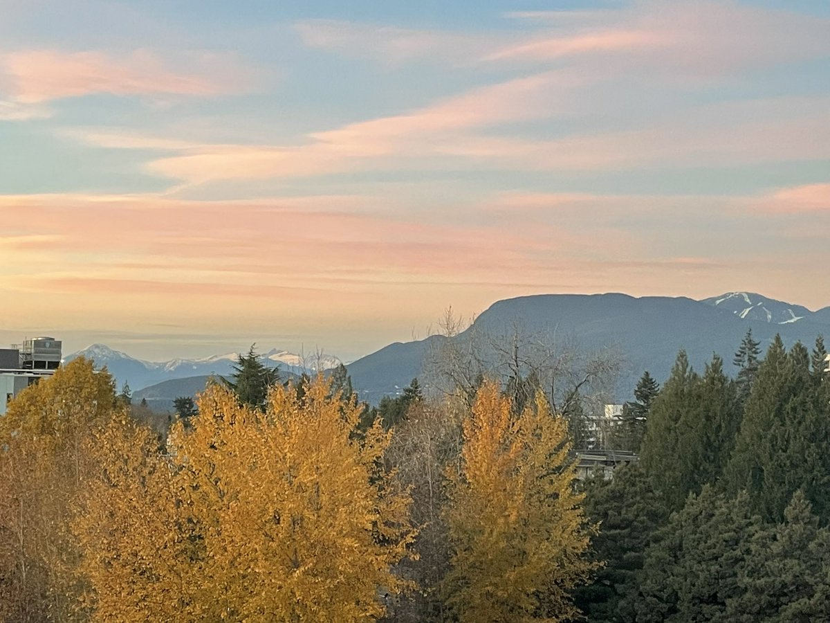 Joel Finbloom tweet media