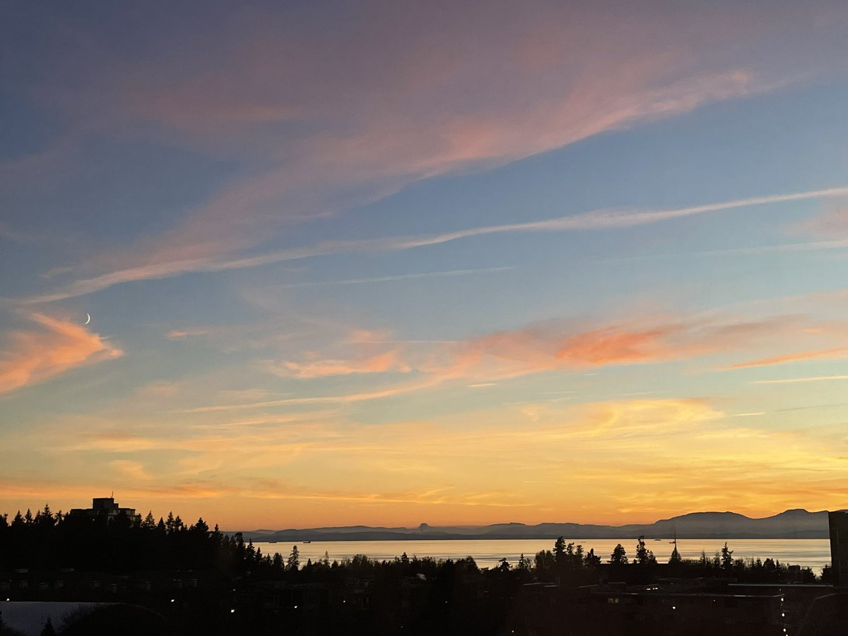 Joel Finbloom tweet media