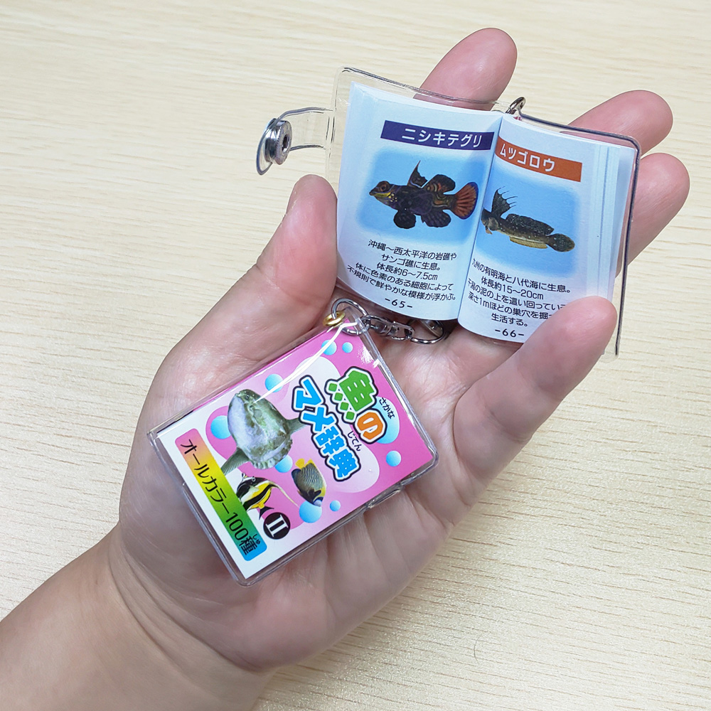 🐠隠れた人気商品です🐟／ 『魚のマメ辞典1・2』をBASEにて販売中です