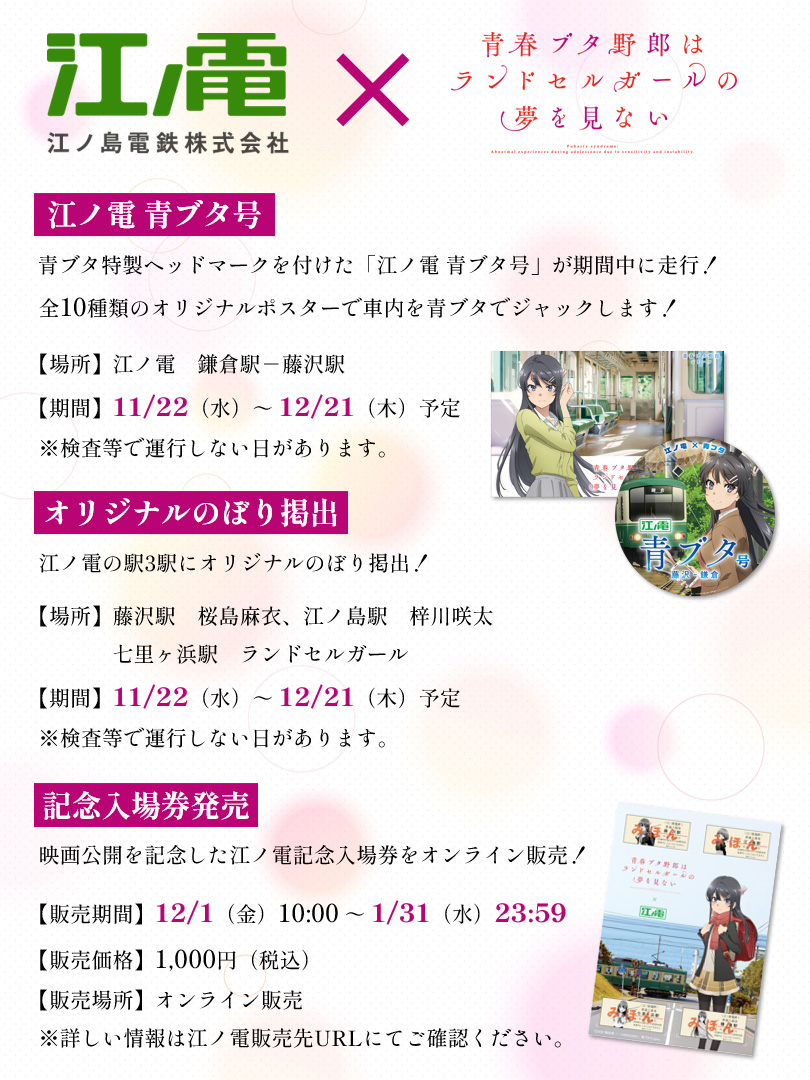 📣タイアップ情報！ ＼ 🐷江ノ島電鉄 ✕ #青ブタ 📍江ノ電 青ブタ号