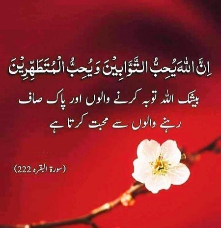 اپنے آپ کو اہمیت دیں🥀😊 🥀

آپ جیسا کوئی نہیں 🥀🔥💯

السلام و علیکم ورحمتہ اللہ و برکاتہ

صبح بخیر 🌻

جمعہ مبارک

💕❤صلی اللہ علیہ والہ وسلم❤💕