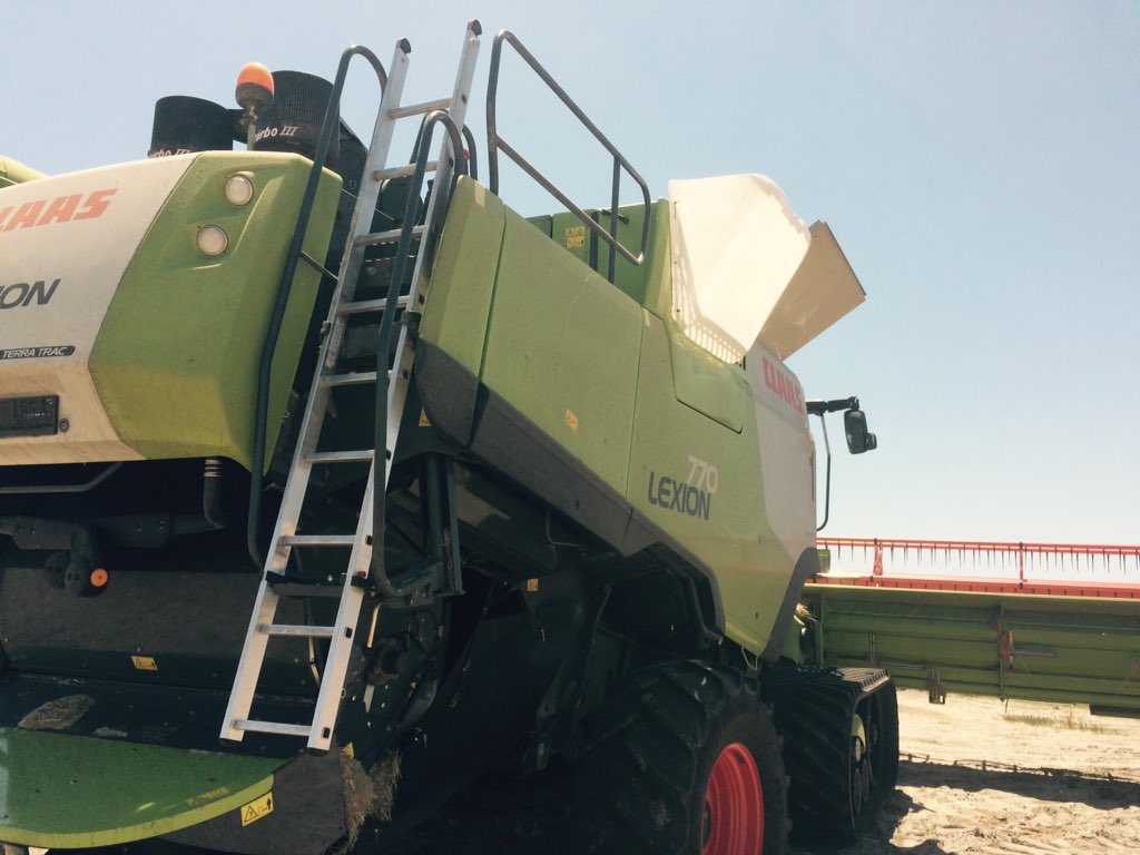 iMc Fels 📲🌾 tweet media