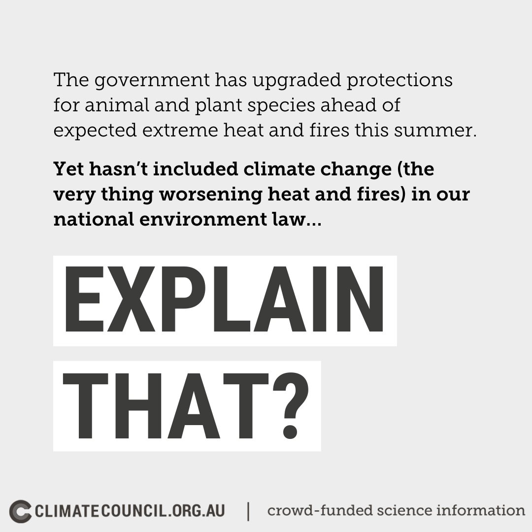 climatecouncil's tweet photo. 🫠🫠 make it make sense 🫠🫠

Sign our petition calling for the government to fix our national environment law here: https://t.co/haskw3vDvi

#CleanUpTheAct https://t.co/Nosih7OrDt