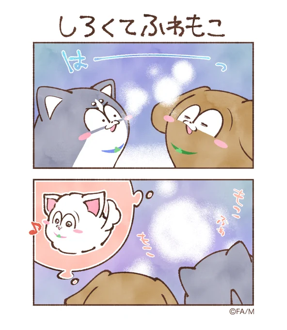 しろくてふわもこ  #まついぬたいむ #まついぬ