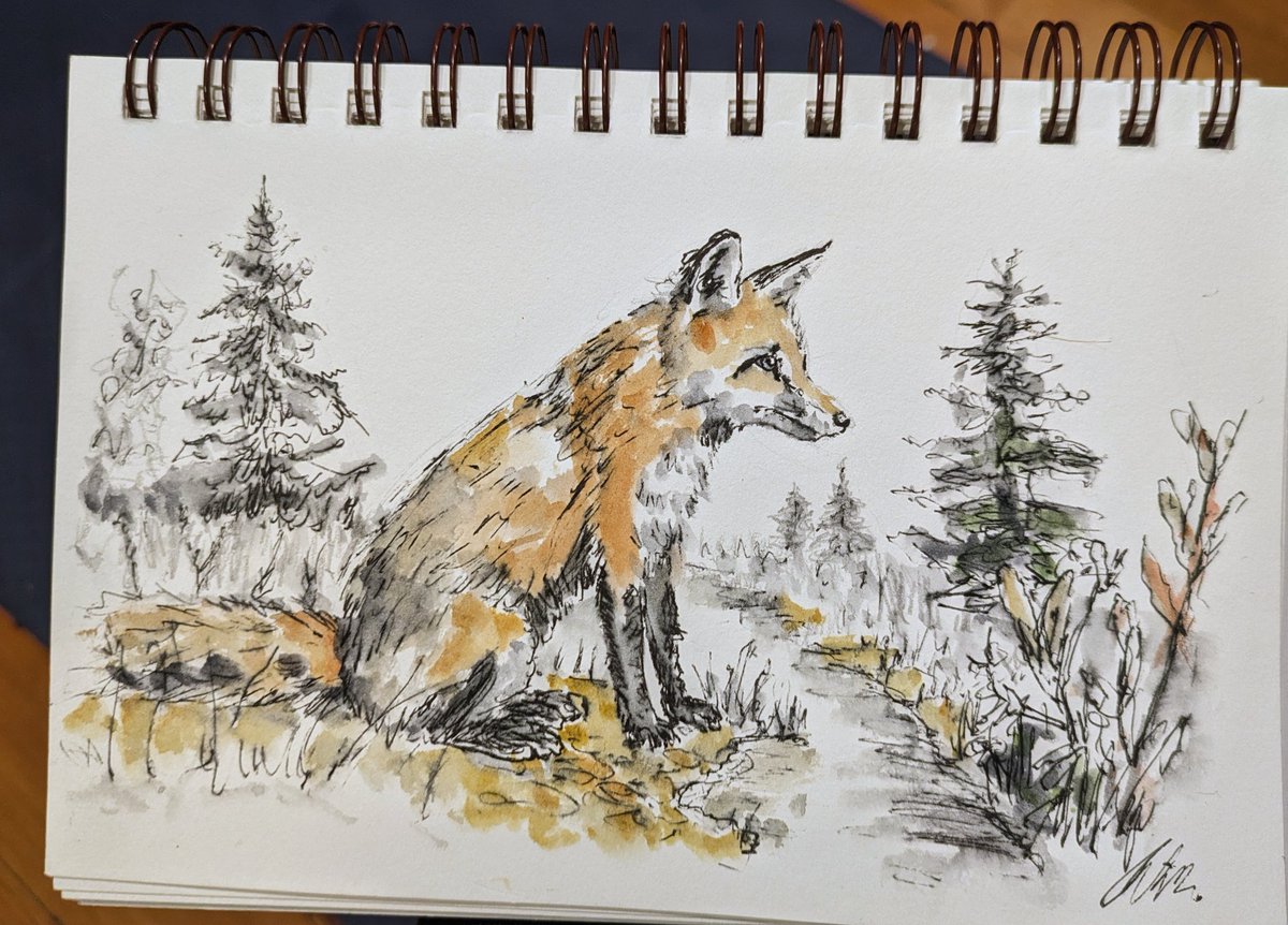 JohnowhitakerA's tweet photo. 🦊 https://t.co/Bq4HNMVwpP
