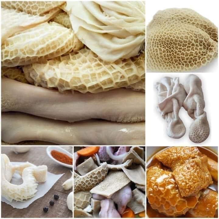 МӨНХИЙН ЗАЛУУ НАС БА ГҮЗЭЭ
Дэлхийн олон улс оронд хамгийн ховор үнэтэй хоолонд тооцогддог гүзээ бол манайд хамгийн хямд. 
Нэг гүзээ 500-800. Заримдаа үнэгүй. 
800хан төгрөгөөр 5-7 хүнд аяга дүүрэн амтат шөл , таваг дүүрэн тансаг салат хийж болно. 
Гүзээнд юу агуулагддаг вэ гэж