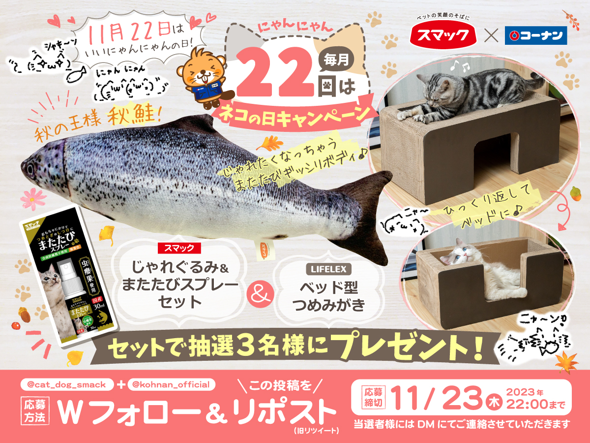 kohnan_official's tweet photo. 🐈 #ネコの日 11月スペシャルキャンペーン 🐈

毎月22日は「ネコの日」🐈🐈
11月は「いいニャンニャン」ですね✨
今月も楽しくご応募ください🥳

✅応募方法
①スマック(@cat_dog_smack )とコーナン(@kohnan_official)をフォロー
②この投稿をリポスト

✅応募締切
2023/11/23(木)22:00 https://t.co/1iIWZBZCpX