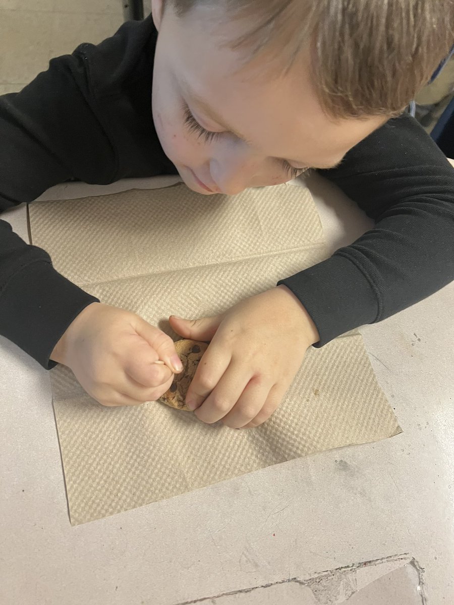 AlexanderEle900's tweet photo. Exploring history with a tasty twist! πͺπ Our students became archaeologists today, using chocolate chip cookies to uncover delicious 'artifacts.' Learning can be sweet and hands-on! #HistoryMadeFun #ArchaeologyEdibles #CreativeLearning https://t.co/yTDKW4dQm8