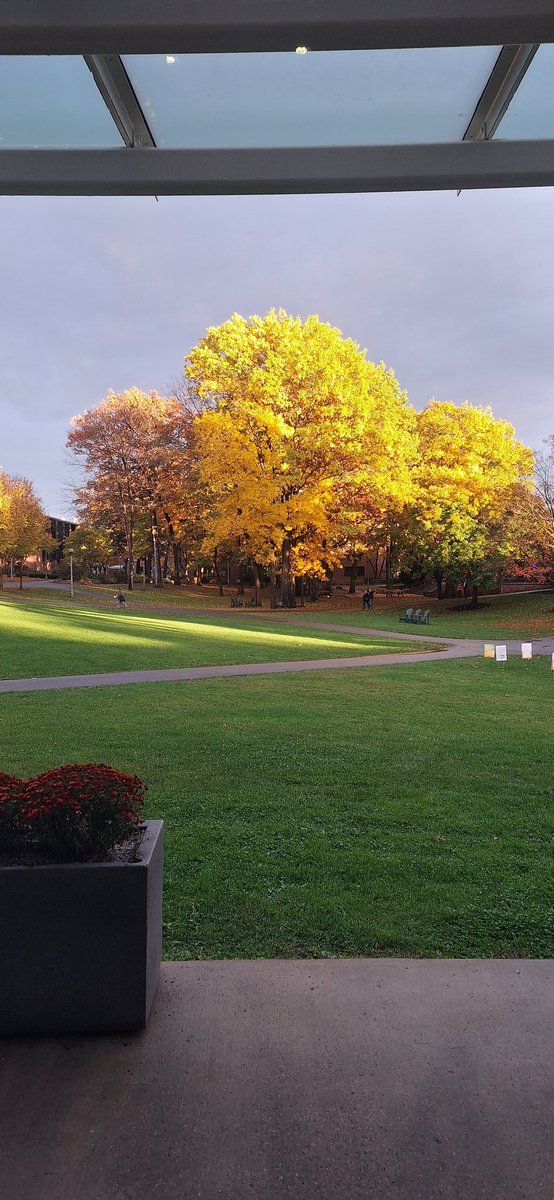 "How beautiful the leaves grow old. How full of light and color are their last days." 
~John Burroughs