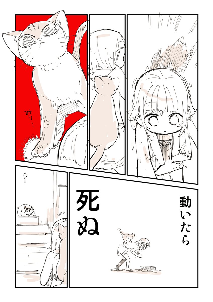 この時期の風呂最高だろ 2/2  猫に命を握られる漫画はこちら 