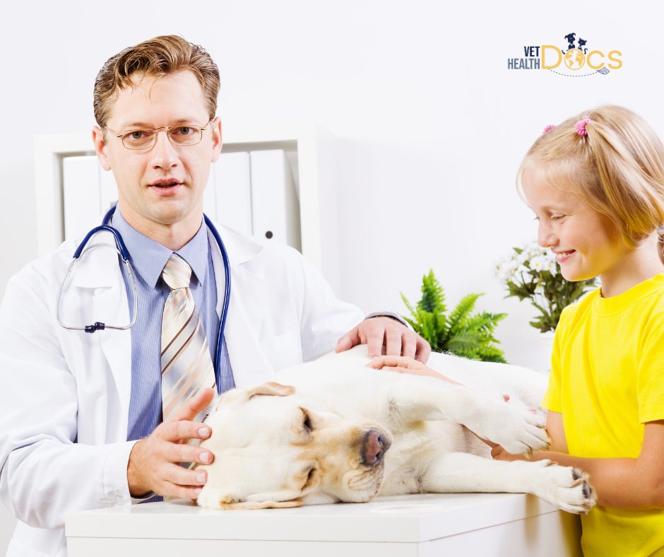 We help #vetclinics around the country handle international travel paperwork for their clients. From managing the schedule of vaccines and submission times, to submission to the USDA VEHCS system, we have it ALL handled so you can focus on what matters to you practice. #pets
