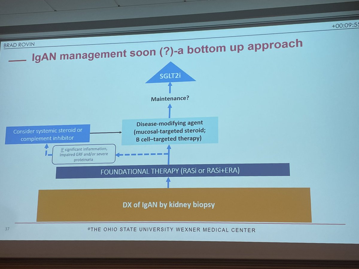 Maria Jose Soler (@pepasolerr) on Twitter photo Enjoying a talk by <a href="/BradRovin/">Brad H Rovin</a> #IgA at #commongrounds23 #Bologna New treatments and #therapies coming. Future with less progression. Proposed #flowcart <a href="/ComaiGiorgia/">Giorgia Comai</a> Enjoying a talk by <a href="/BradRovin/">Brad H Rovin</a> #IgA at #commongrounds23 #Bologna New treatments and #therapies coming. Future with less progression. Proposed #flowcart <a href="/ComaiGiorgia/">Giorgia Comai</a>