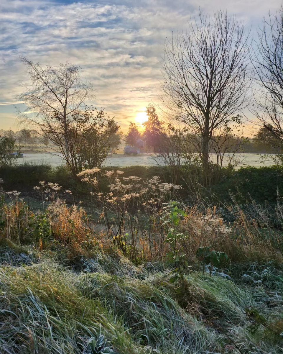 schrage_esther's tweet photo. Mooie morgen ❄️🌞 #nachtvorst #koud #vorst #weerfoto  @ArnoudNoord2 @PvForecast @BuienRadarNL @RTLnieuws @helgavanleur @weerenradar_nl @Talpaweer @weeronline https://t.co/D1PHbz3irs