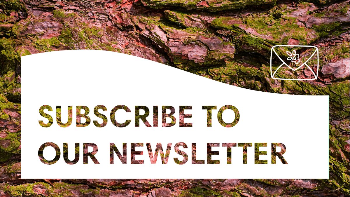 AF4EU_afinet's tweet photo. Lots of good news on the project these days! 📩
Subscribe to our newsletter if you want to dive further into agroforestry 👉 https://t.co/iMdgbWtN14

#AF4EU #Agroforestry #Newsletter https://t.co/yD6CqqZyhI