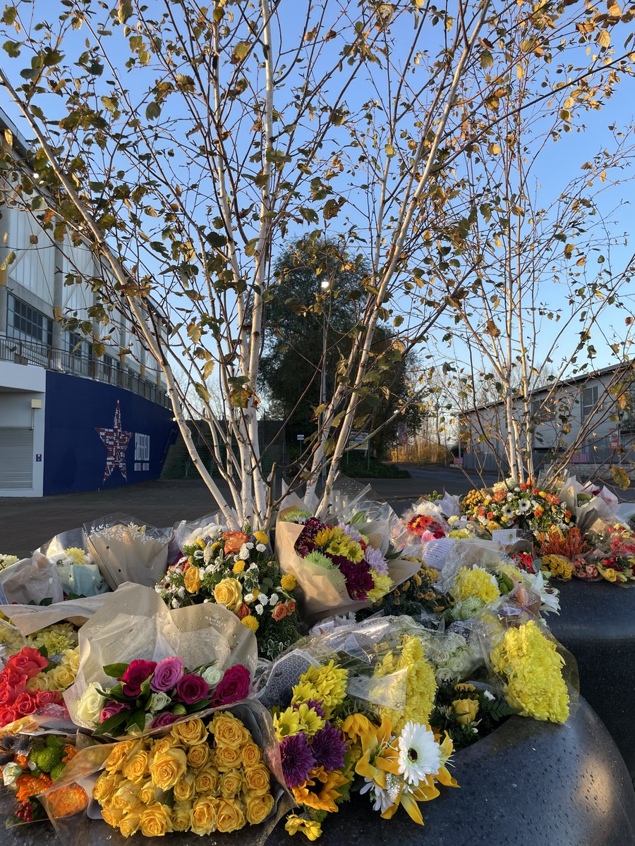 Utilita Arena Sheffield 💙 tweet media