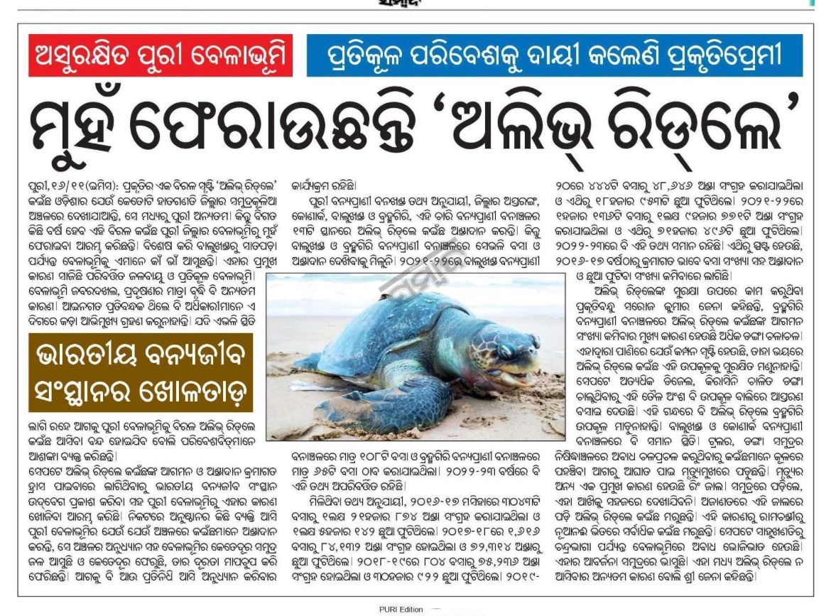 save coastal life tweet media
