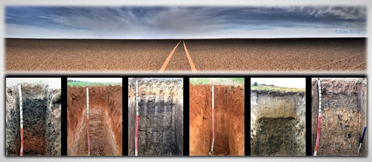Don't judge a book by its cover or soil by its surface, as it can be very deceiving and costly. You know nothing about soil unless you dig youtu.be/SMHyVoQX8ew