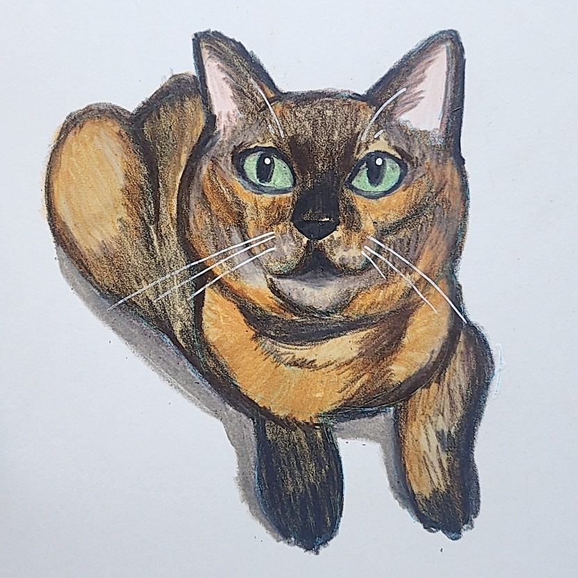 さび猫大好きなんです☺️
#芸術の輪 #さび猫