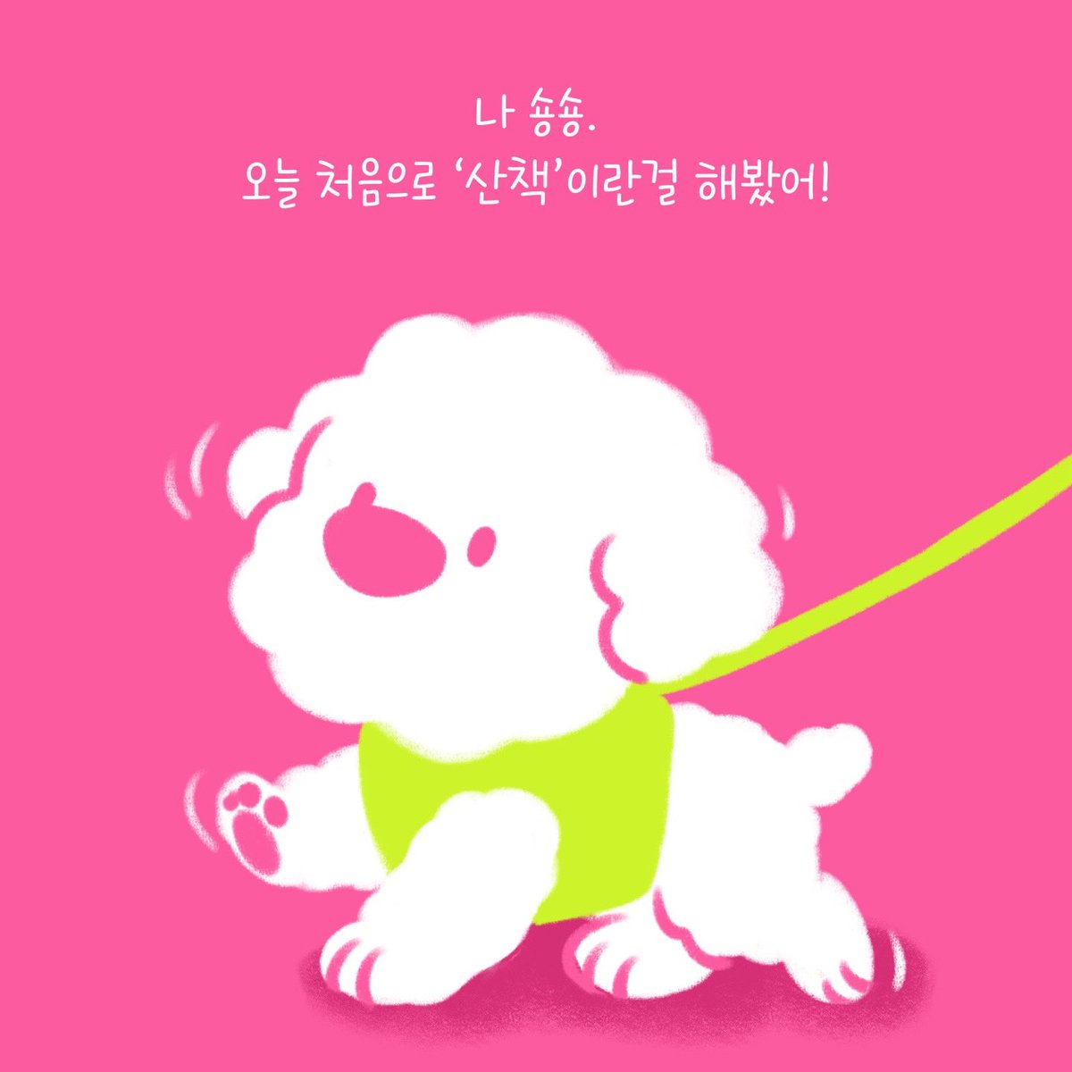 weACTkorea's tweet photo. 나 숑숑이! 오늘은 산책이라는 걸 해봤지. 세상은 정말 아름다운 곳이야.

근데 말이야, 참 이상한 점이 있어.우리 엄마가 말하던 세상은 이 세상과는 너무 다르단 말이지!
 
한 번, 내 얘기를 들어볼래?

2023 WEACT CAMPAIGN
#사지않을개 #WEDONTBUYFAMILY 
#이상한나라의번식장 
@weactcampaign https://t.co/qCw5iV7uqS