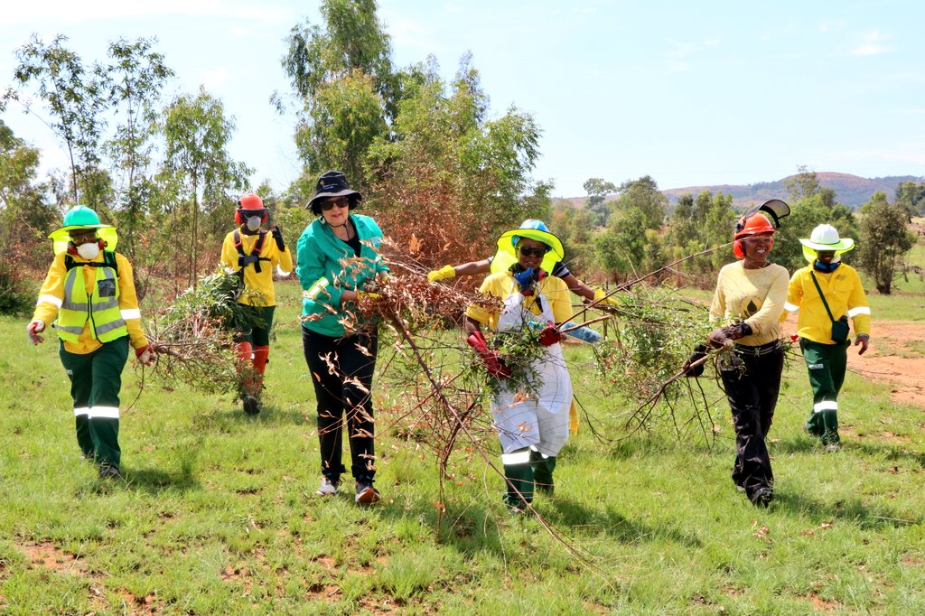environmentza's tweet photo. Minister @BarbaraCreecy_ has arrived in Heidelberg to launch a 5 year programme worth R2.67 billion to implement the #WorkingForWater Programme which aims to eradicate #invasive #alien plants in our communities. Site Manager, Ms Mpho Kubeka is leading the site inspection. https://t.co/SYNvuG1Ot3