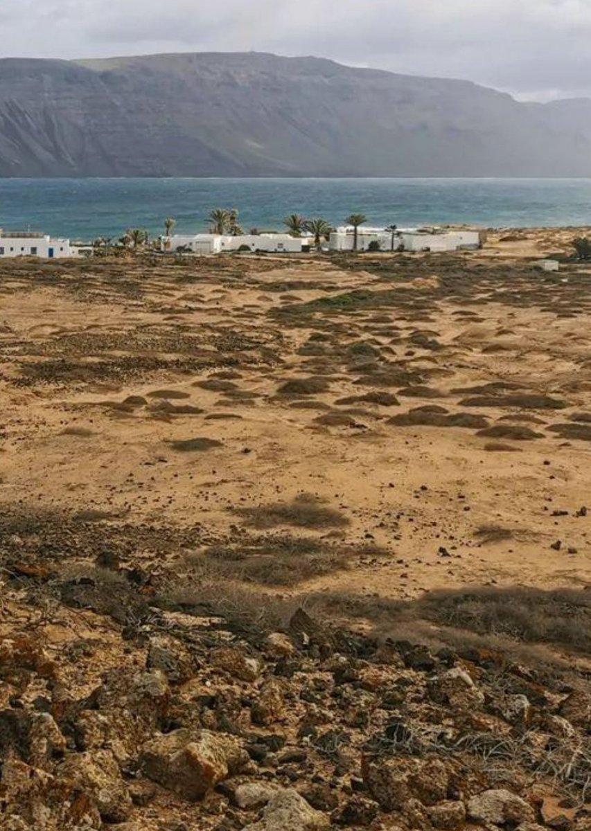 Hola viernes
Hola a t☀️dos 
Isla Canaria de La Graciosa ° 
📷 @visitlagraciosa 🌵