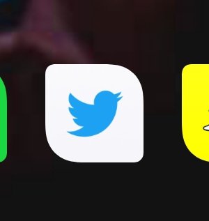 imprintedveins's tweet photo. Lol lifehack, pictogrammen aangepast ennu heb ik het oude twitter logo zomaar terug😂 https://t.co/L7yp61hZa7