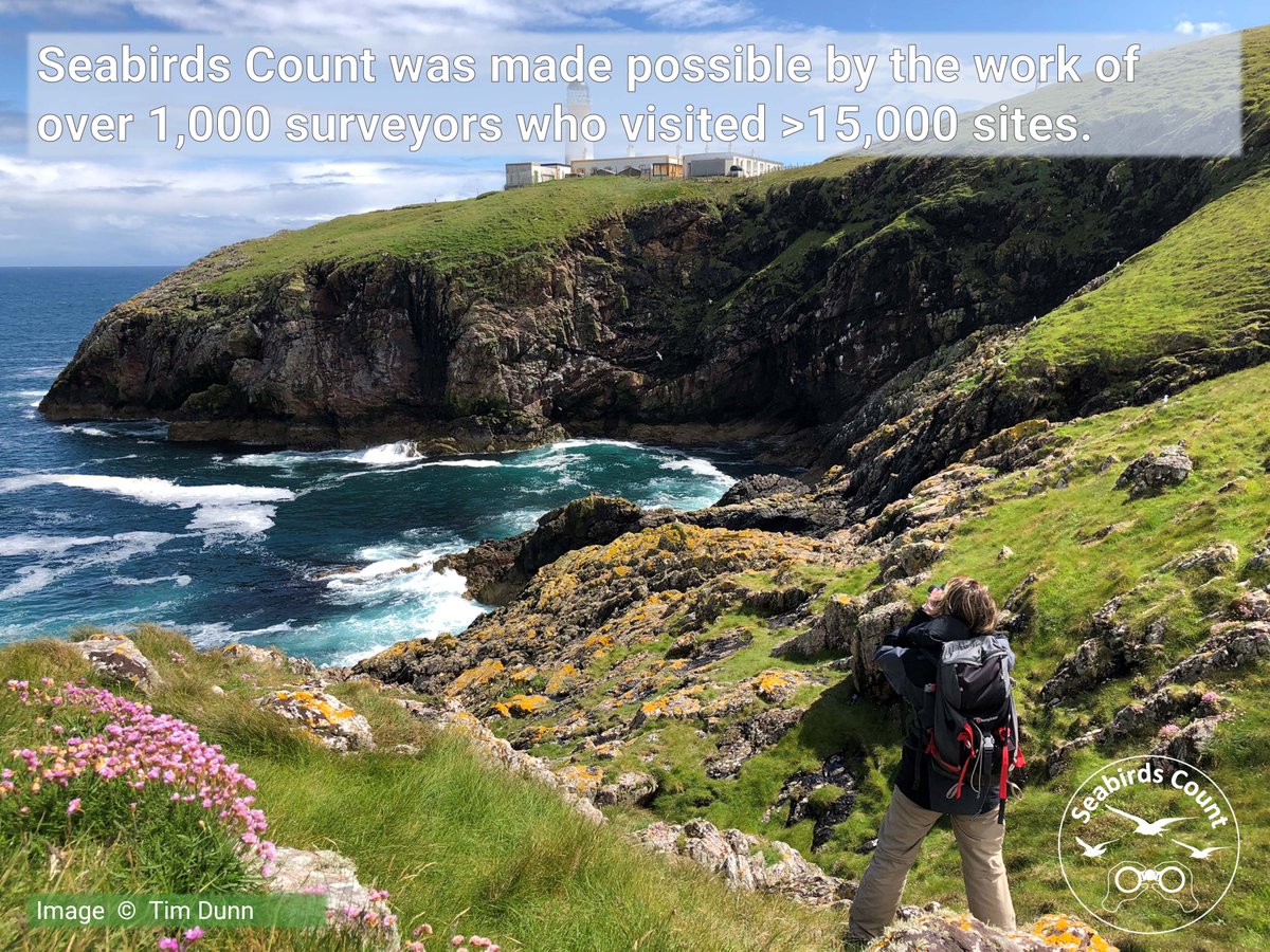 To count this many seabirds takes serious people power 👊 – around 1,000 volunteers and professional surveyors visited over 15,000 breeding sites between 2015 and 2021
