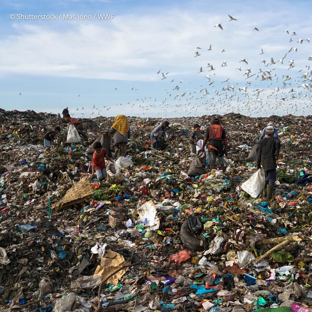 WWF's tweet image. RT if you agree we must stop the plastic crisis NOW🛑. 

🫱🏽‍🫲🏼Demand change now. Urge decision-makers to act: BanIt.org. #INC3