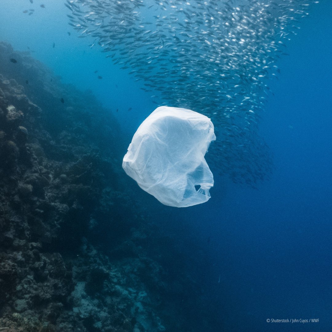 WWF's tweet image. RT if you agree we must stop the plastic crisis NOW🛑. 

🫱🏽‍🫲🏼Demand change now. Urge decision-makers to act: BanIt.org. #INC3