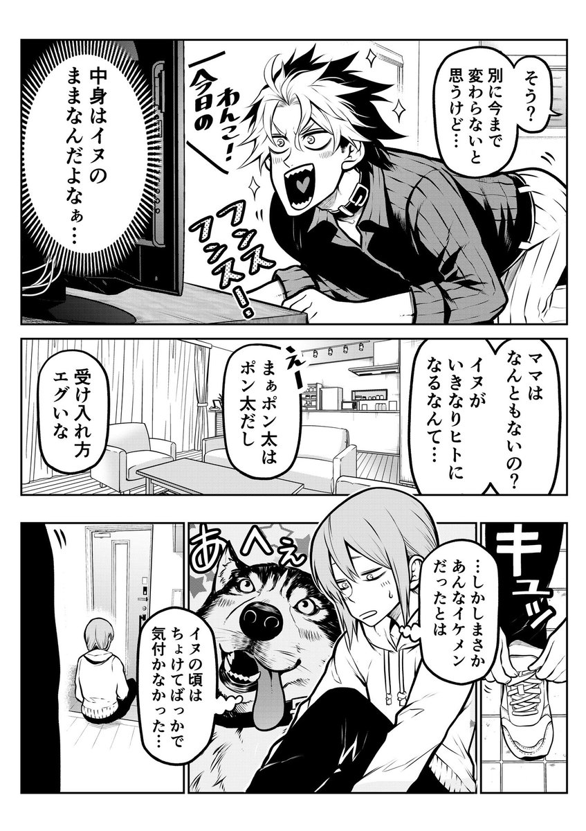 (2/4) 