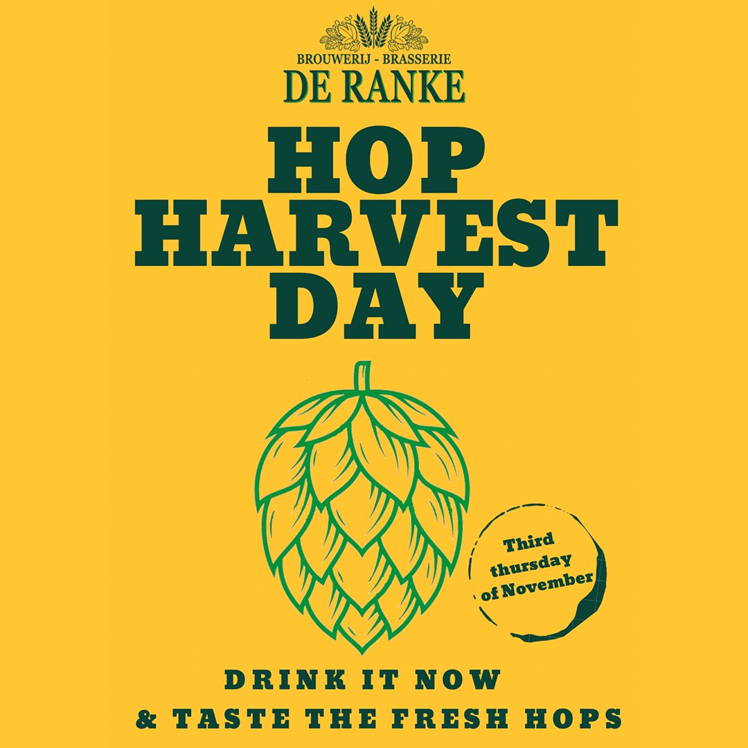 cavedirect's tweet photo. From the ground to being harvested to ending up in our local venues, the Brouwerij De Ranke 2023 is what we have been waiting for! 🎉🤤 Hop Harvest is an annual beer brewed with fresh, wet hops 🌳
Find your local De Ranke ON TAP at your local venues! 🍺
#deranke #hopharvest https://t.co/tEjm5gT1Th