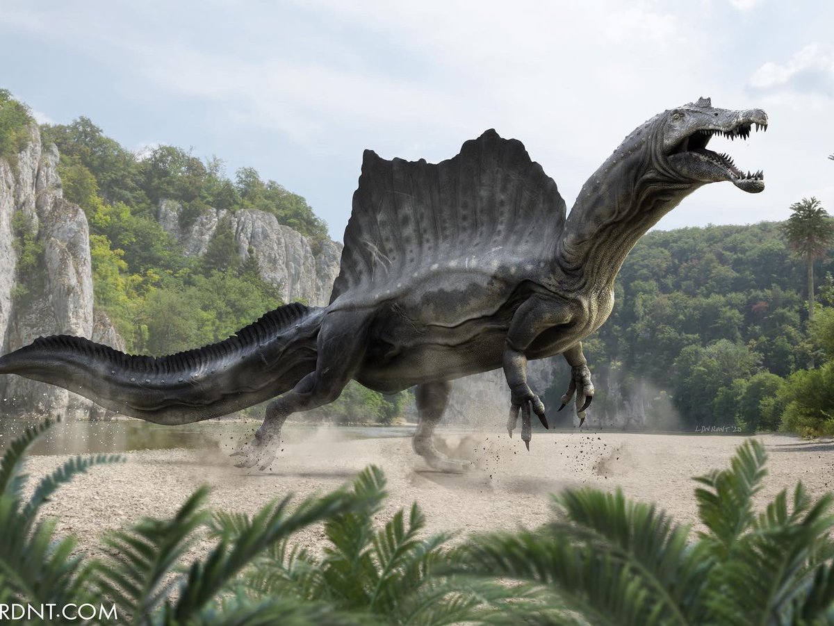 Elden Ardiente tweet media