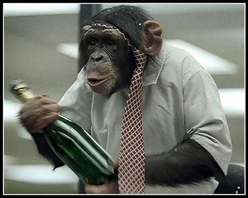 🎭 BOB HONEST 🎭 SAG/AFTRA tweet media