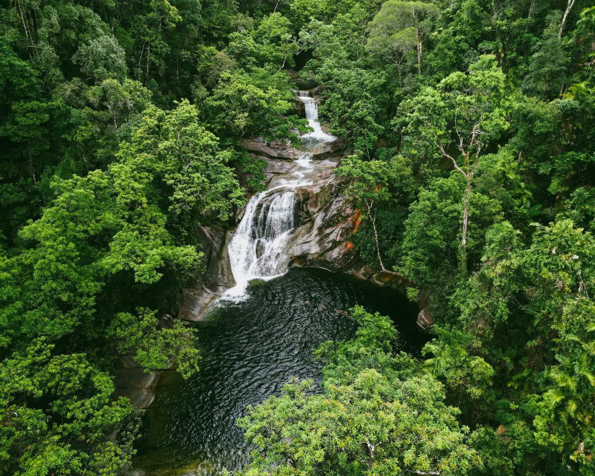 guillermobianchi.eth tweet media