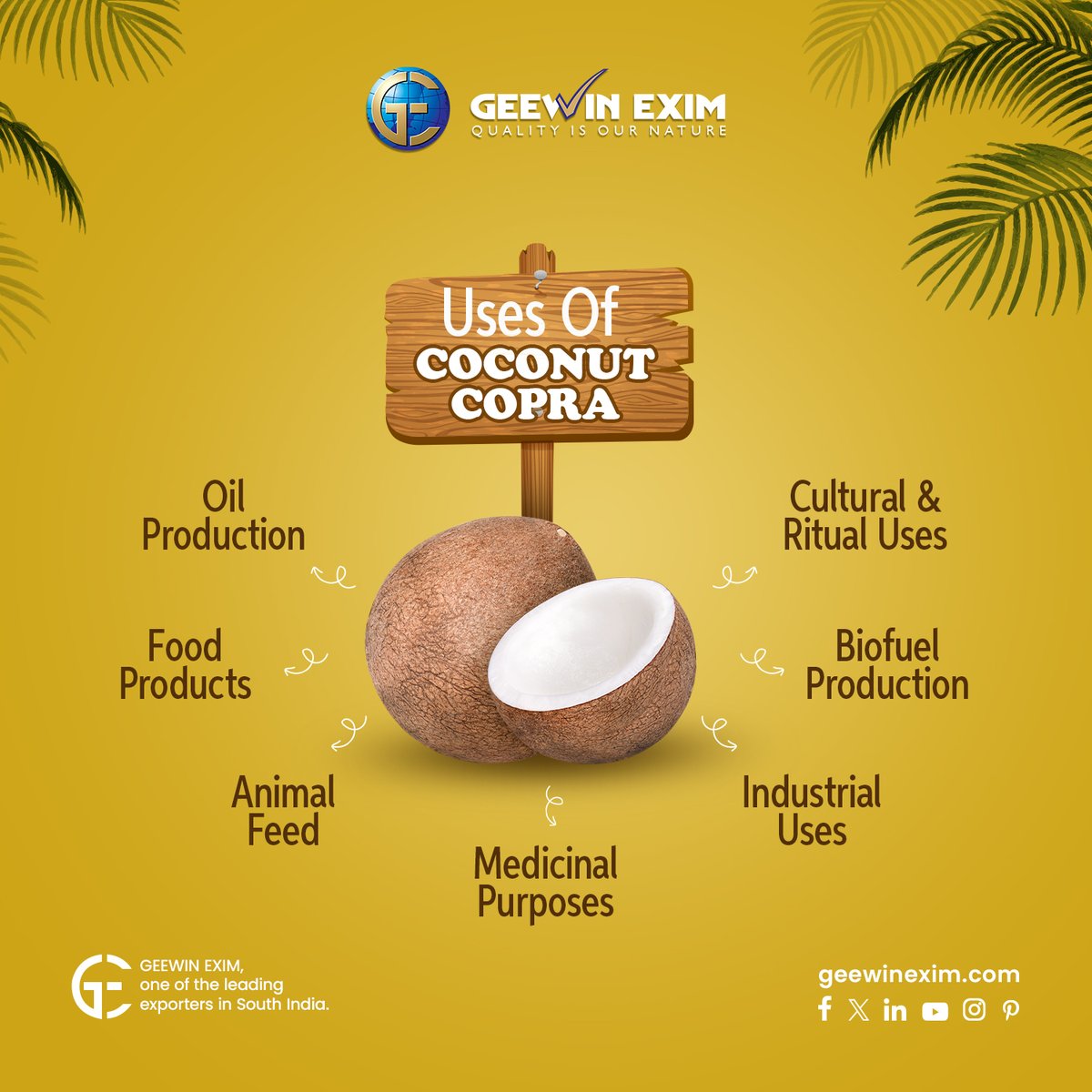 EximGeewin's tweet image. Curious about the benefits of coconut copra? Look no further! Our informative guide reveals the numerous health advantages of incorporating this superfood into your diet.

For more Coconut Copra details, follow our @EximGeewin page.

#geewinexim #coconutcopra #premiumproduct