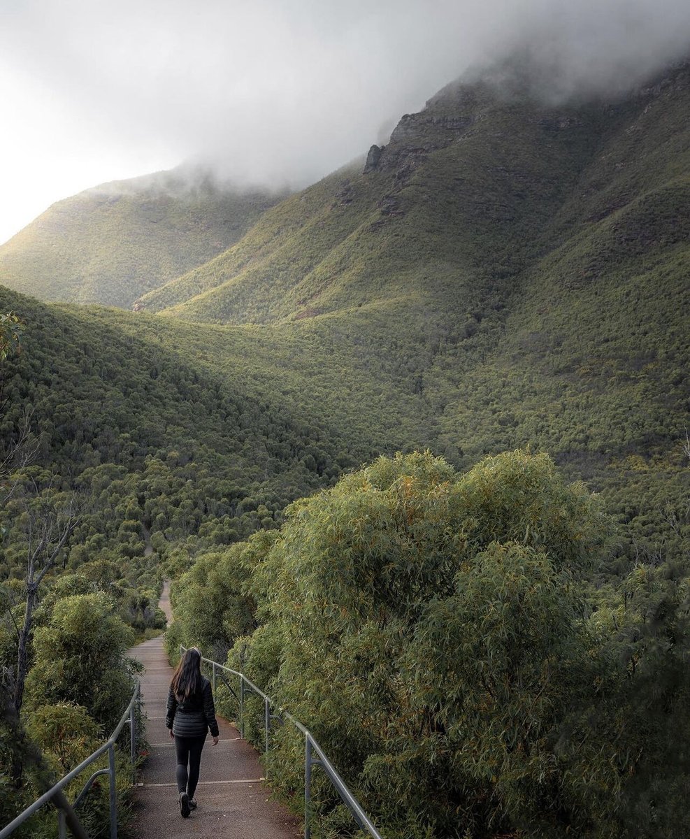 The path to Bluff Knoll in the
Stirling Range National Park.
PERTH
@ jack.and.megan
#perthisok #seeaustralia #thepath #BluffKnoll #SirlingRangeNationalPark #Perth