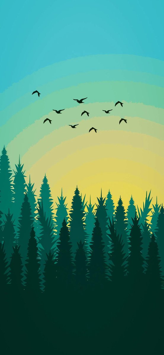 Akshit M tweet media