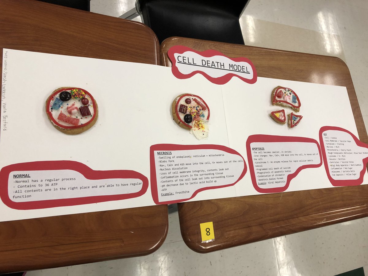 PhsReece's tweet photo. Cell death never looked so good!  PHS Pathophysiology students construct edible models of cell death by Necrosis and Apoptosis.  Students depict the structural, ionic, and  cell process changes that occur in irreversible cell injury. @PorterSpartans @CTENCISD @condarco_cesar https://t.co/xwDB6cmOaN