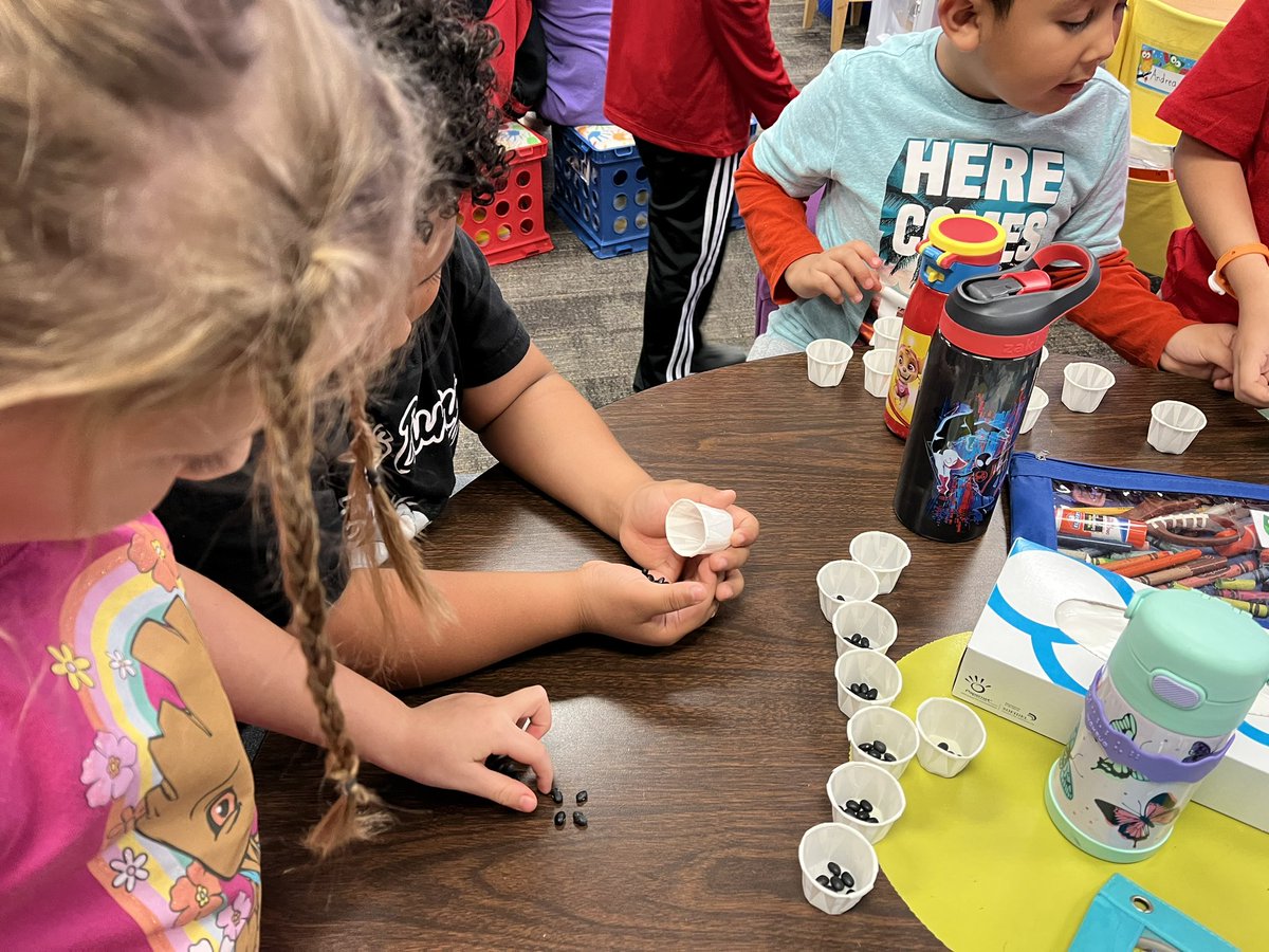 Sandra43662319's tweet photo. I knew my small black beans would come in handy. My first grade dual language wildcats are estimating beans in the bag, finding a more efficient way of counting to make groups of “10”. “Si se puede”@vhernan5 @SMRob_Counselor @HumbleISD_HE https://t.co/cVTzxoXAIN