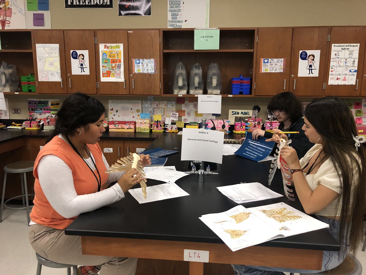 PHS Anatomy and Physiology Honors students embark on their journey to the Isle of Bones!  Students collaborate to master the axial skeleton bones and their specialty surface markers! <a href="/PorterSpartans/">Porter HS</a> <a href="/CTENCISD/">New Caney ISD CTE</a> <a href="/condarco_cesar/">Cesar Condarco</a>