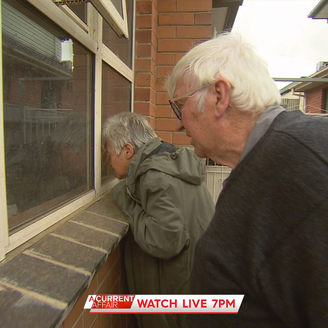 Alexis Daish tweet media