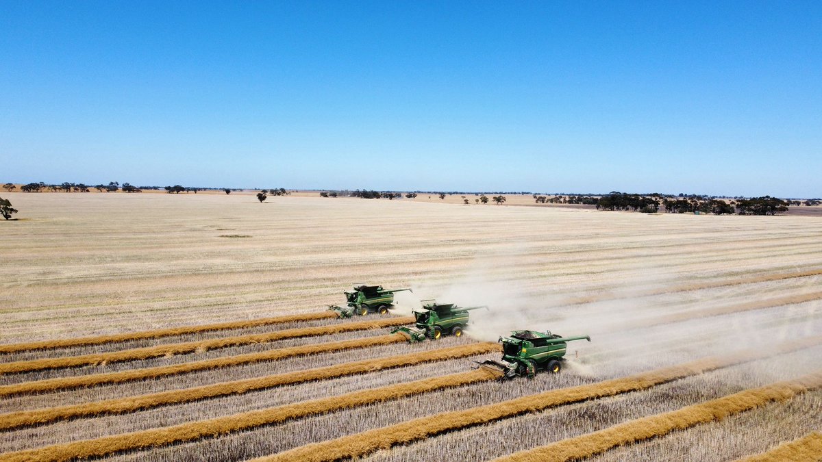 dyerjonathan's tweet photo. Cracking day for harvesting canola in the Wimmera. These photos a rare glimpse of the 3 S670s going together. 

Shout out to @StonyRise. Is great having both your kids help us out with harvest  and 1 bringing a header! https://t.co/A93JD8ZXjN
