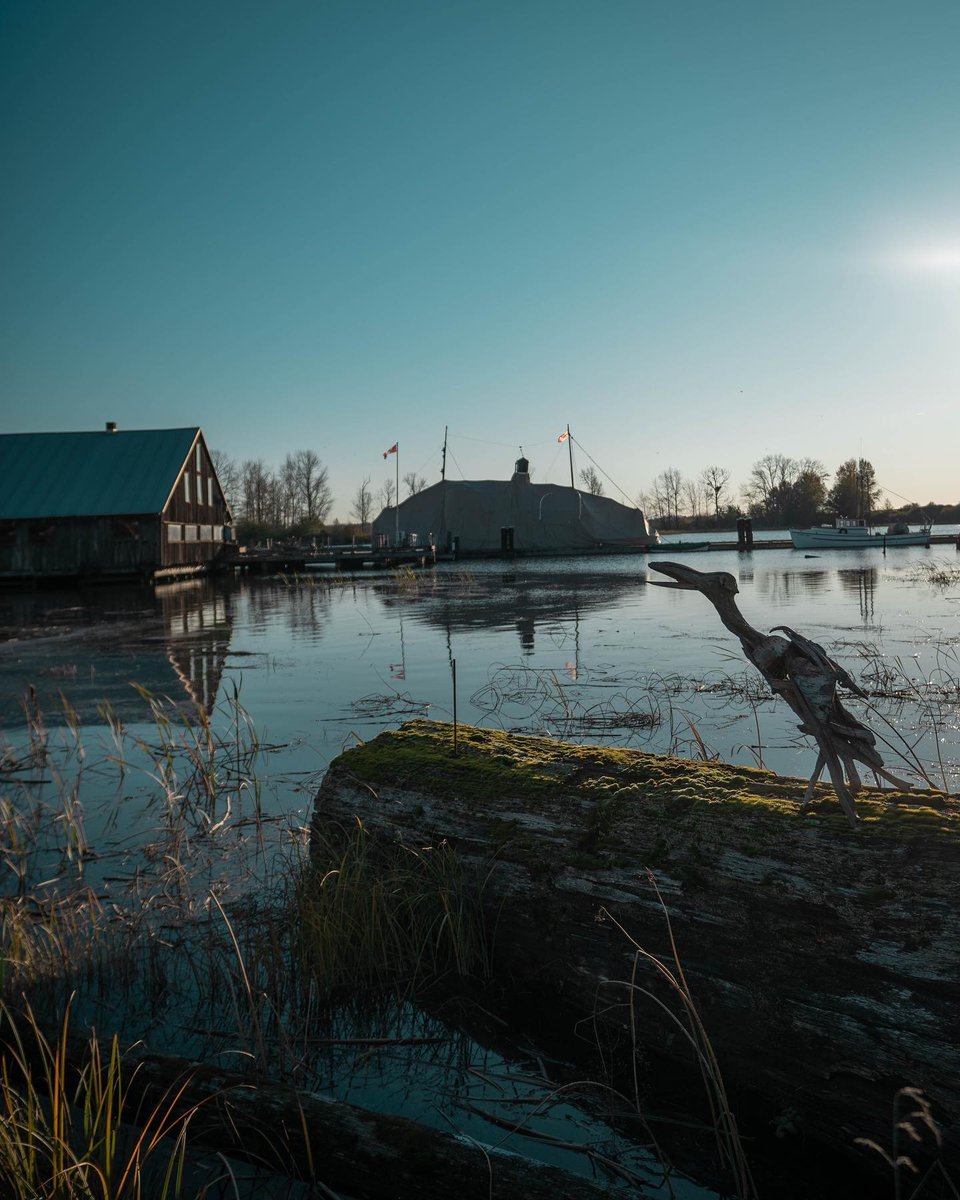 richmond_things's tweet photo. Who recognizes where this was taken? Comment below!
📷 @luismanere
#steveston #richmondbc #canada #richmondmoments #insteveston #stevestonbc #stevestonphotographer #veryvancouver #vancity #vancityfeature https://t.co/pvYMeX4oqG